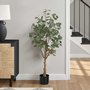 Decorative Plant Accent Design