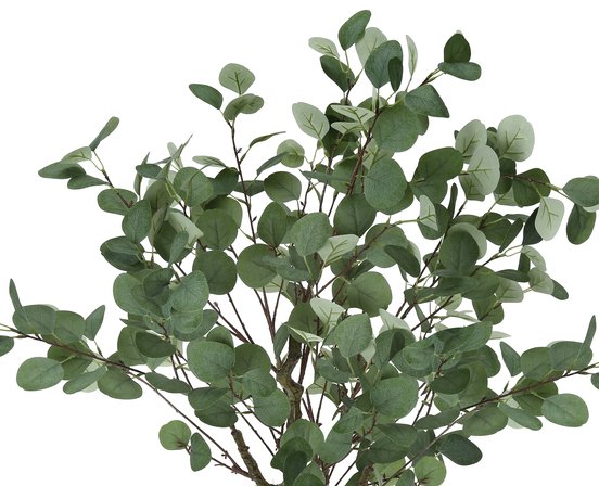 Decorative Plant Accent Design