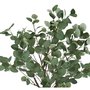 Decorative Plant Accent Design