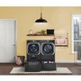 LG 9.0 Cu. Ft. Electric Dryer With Steam And Built-In Intelligence - DLEX8900B