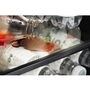 Whirlpool 24-Inch, 5.1 Cu.Ft. Built-In Undercounter Refrigerator - WUR50X24HZ