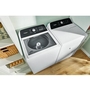 Whirlpool® 5.2 Cu. Ft. I.E.C. Top Load Agitator Washer with Built-In Faucet - WTW5025SW