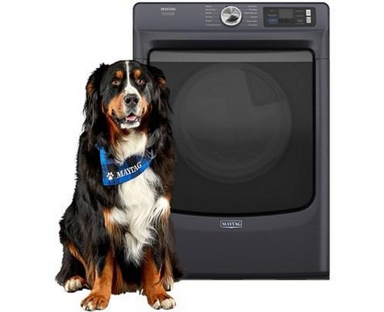 Maytag 7.4 Cu. Ft. Electric Dryer With Pet Pro Option - YMED7020RF