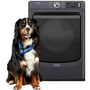 Maytag 7.4 Cu. Ft. Electric Dryer With Pet Pro Option - YMED7020RF