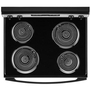 Amana 30-Inch Freestanding Electric Range - YACR4303MMS